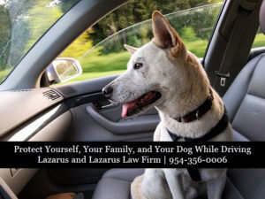 Auto Accident Attorneys